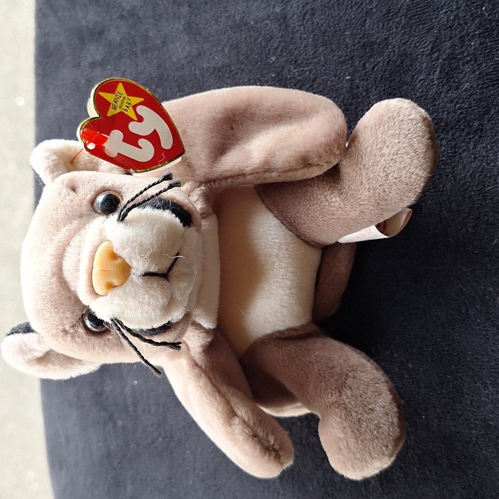 Ty Canyon 1998 Beanie Babies (New with tag) RARE